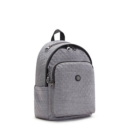 Kipling Delia Classic Rygsække Sølv | DK 1555EB